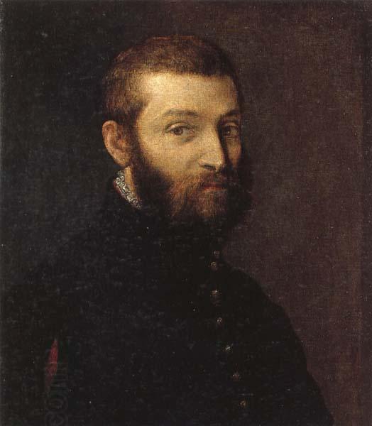 VERONESE (Paolo Caliari) Portrait of a Man oil painting picture
